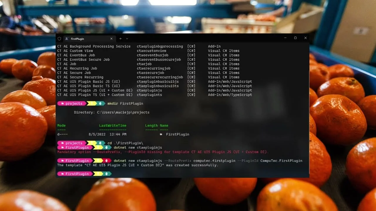 Video: CompuTec AppEngine App Templates