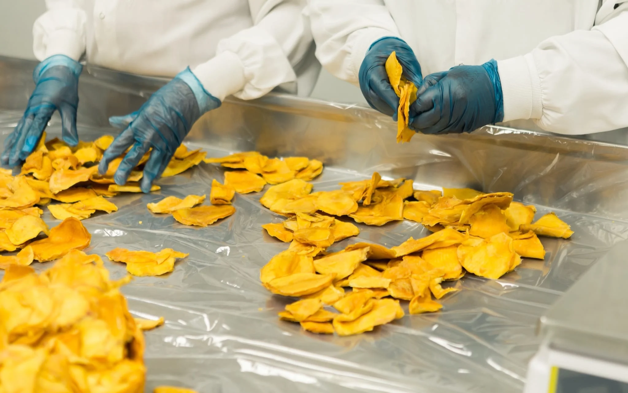 A worker in protective equipment sorting dried mango slices on a production line