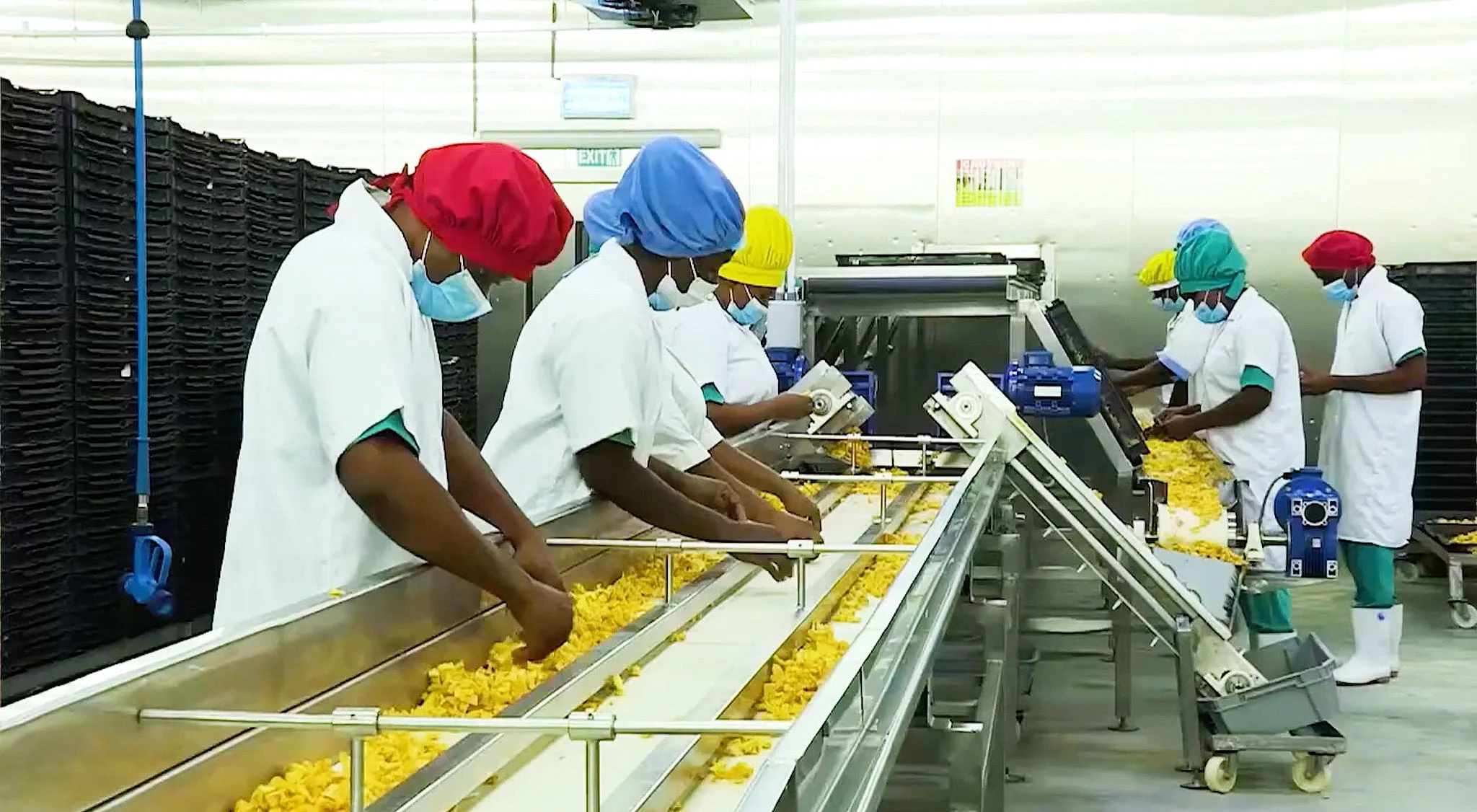 HPW Fresh & Dry employees processing dried fruit on the production floor