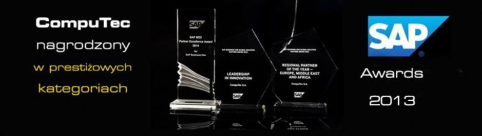 2013 –SAP Business One Global Solution Partner Award